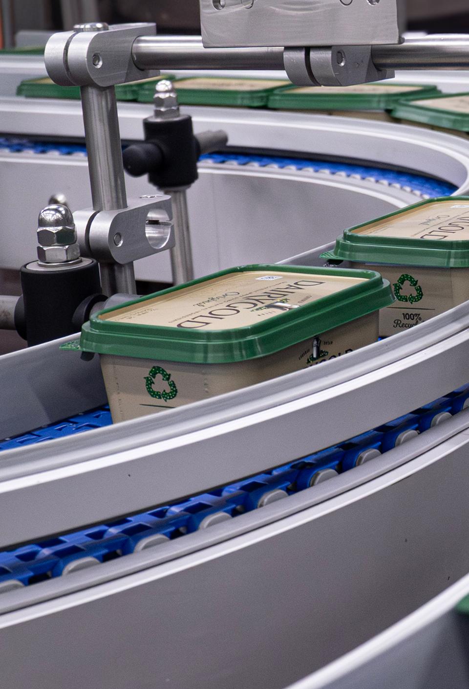 dairygold-on-production-line